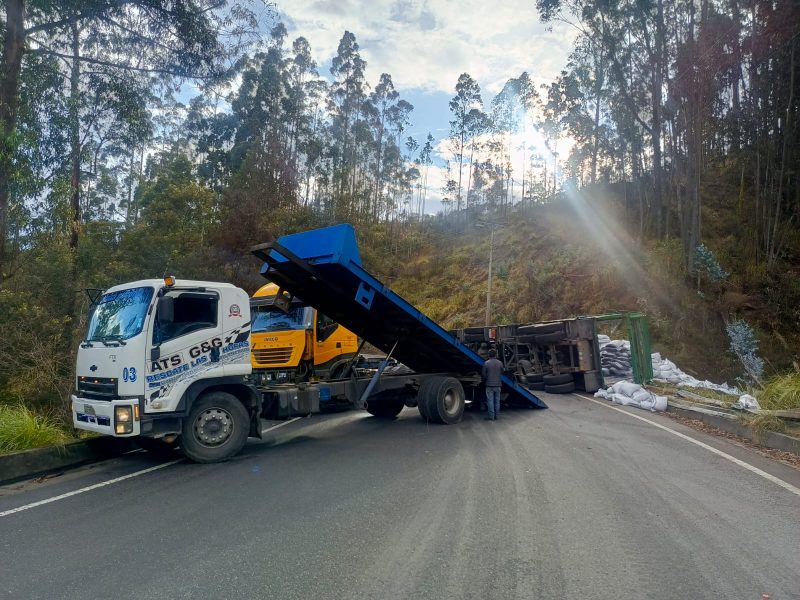 WhatsApp Image 2025-01-28 at 1.11.49 PM (1) - copia - copia